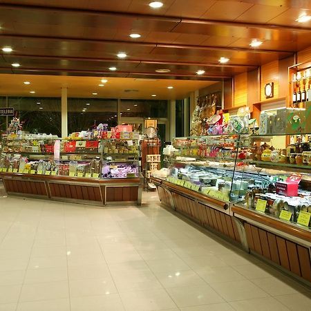 Hotel Los Rosales Almansa Dış mekan fotoğraf